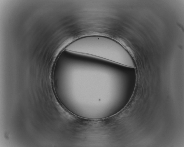 X0000092071189200709121020