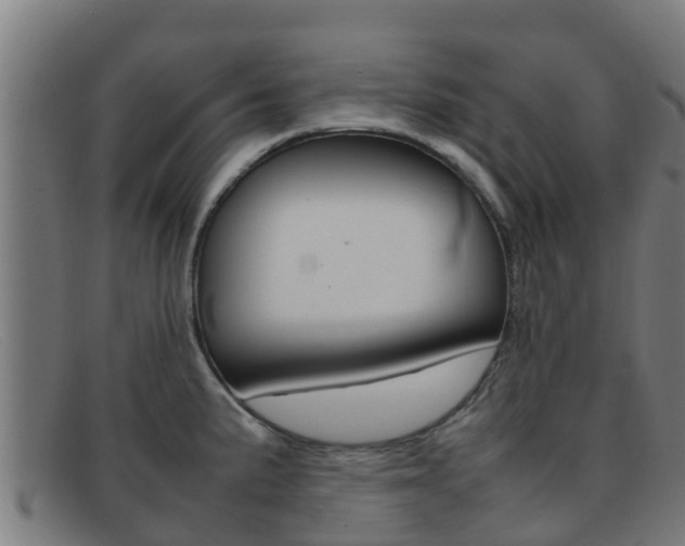 X0000092071191200709121020