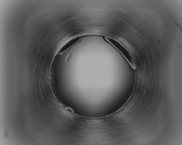 X0000092071192200709121020