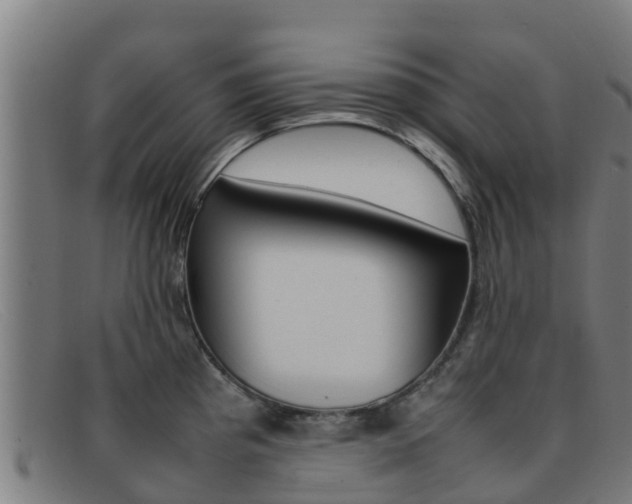 X0000092071193200709121020