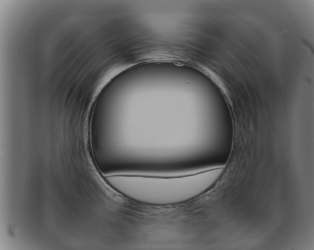 X0000092071195200709121020