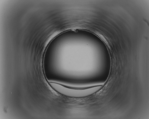 X0000092071197200709121020
