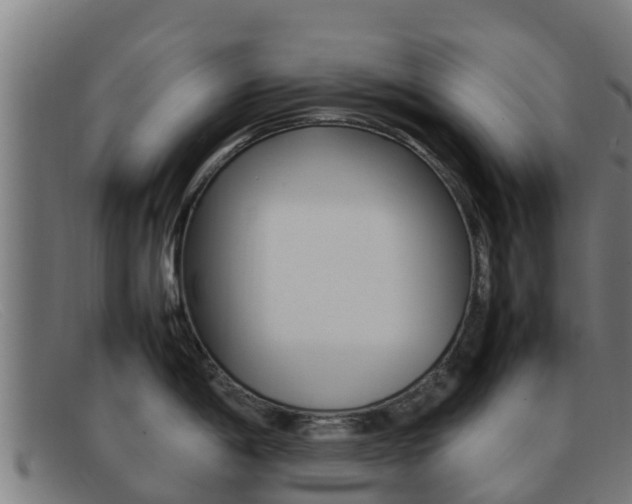 X0000092071198200709121020
