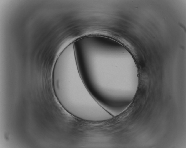 X0000092071199200709121020