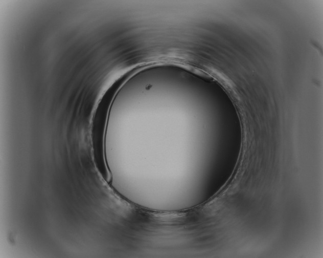 X0000092071200200709121020