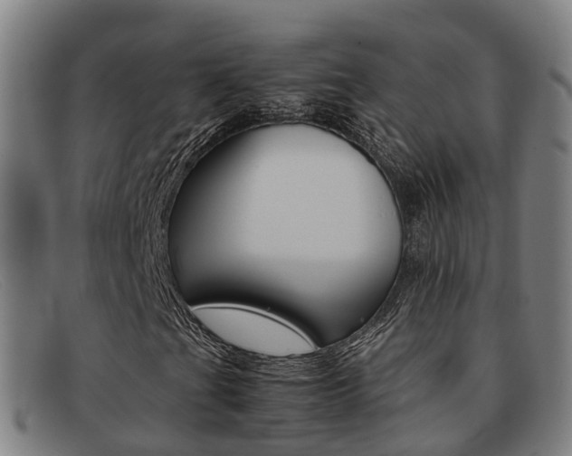 X0000092071201200709121019