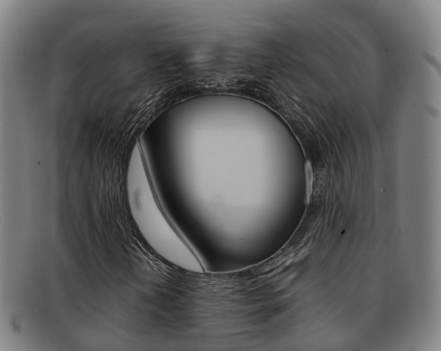X0000092071202200709121019