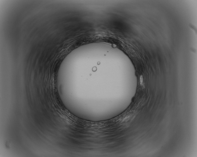 X0000092071203200709121019
