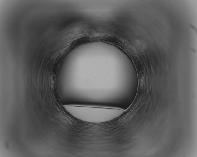X0000092071204200709121019
