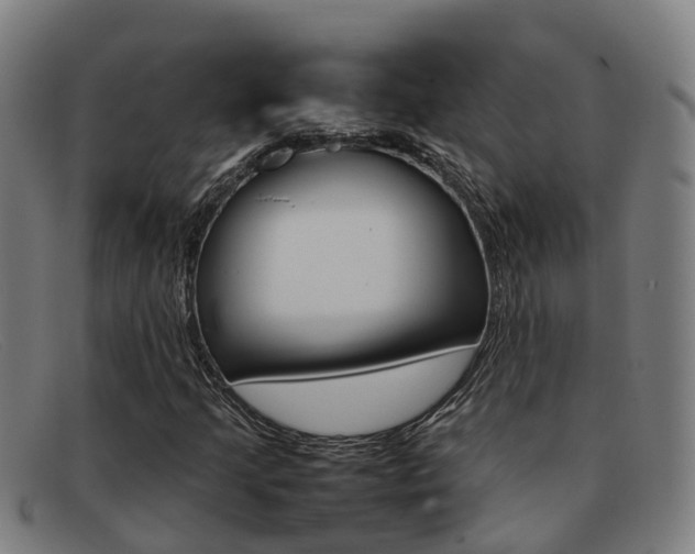 X0000092071205200709121019