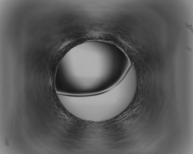 X0000092071206200709121019