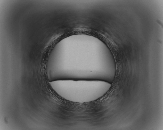 X0000092071207200709121019