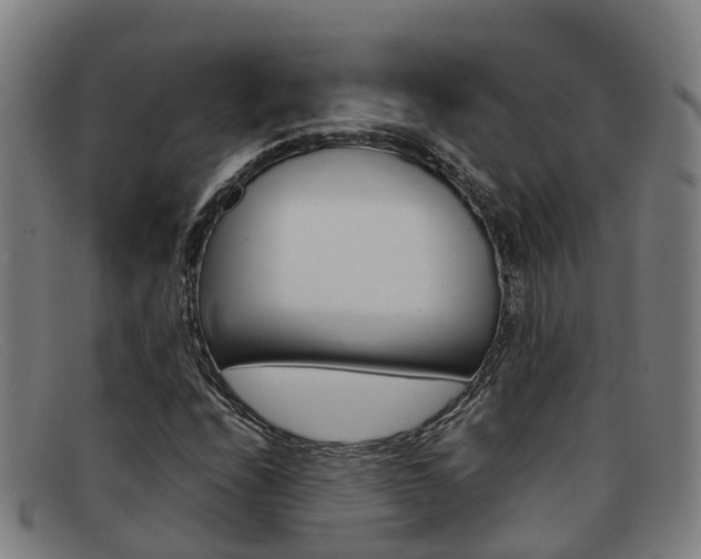 X0000092071208200709121019