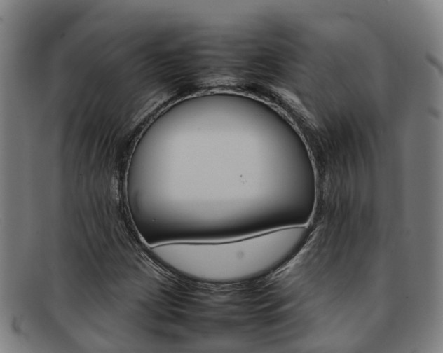 X0000092071209200709121019