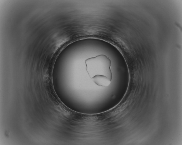 X0000092071210200709121019
