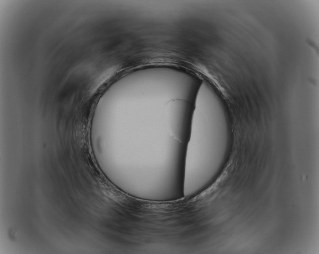 X0000092071211200709121019
