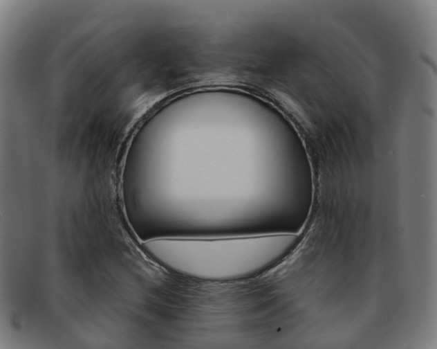 X0000092071212200709121019