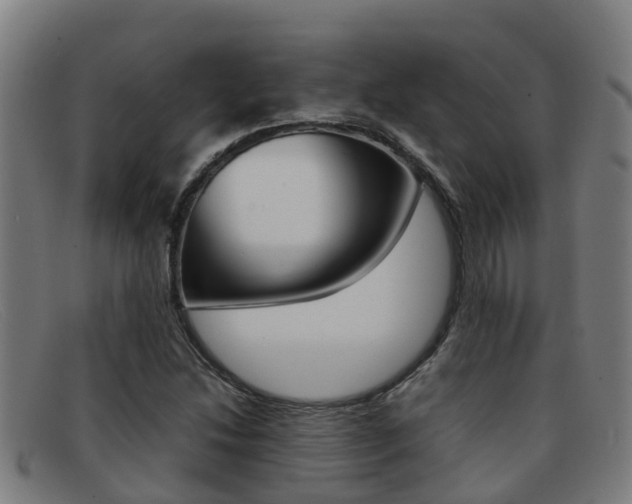 X0000092071214200709121019