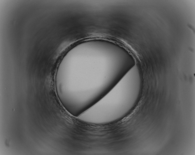 X0000092071215200709121019