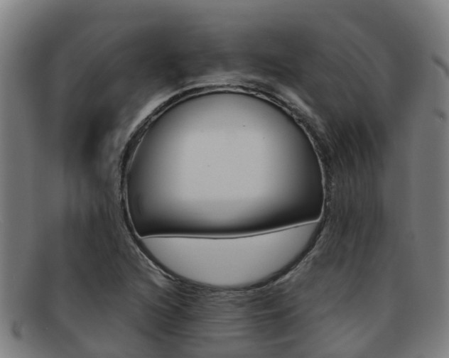 X0000092071216200709121019