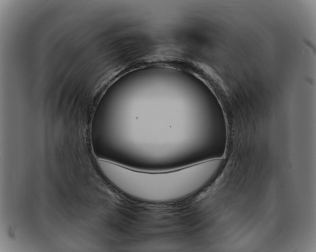 X0000092071217200709121019
