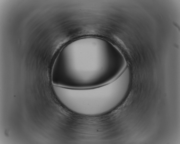 X0000092071218200709121019