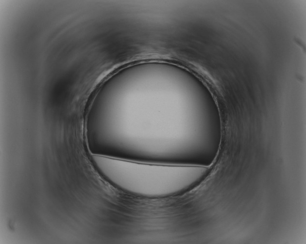 X0000092071220200709121019