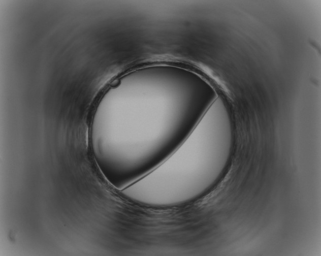 X0000092071221200709121019