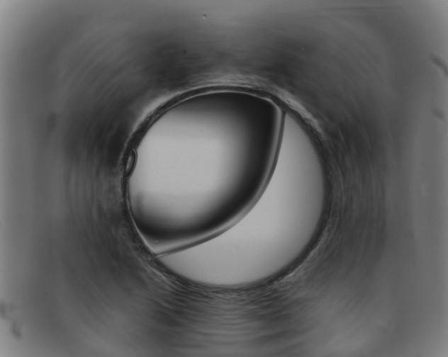 X0000092071222200709121019