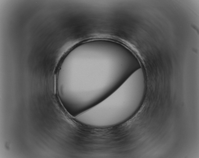 X0000092071223200709121019