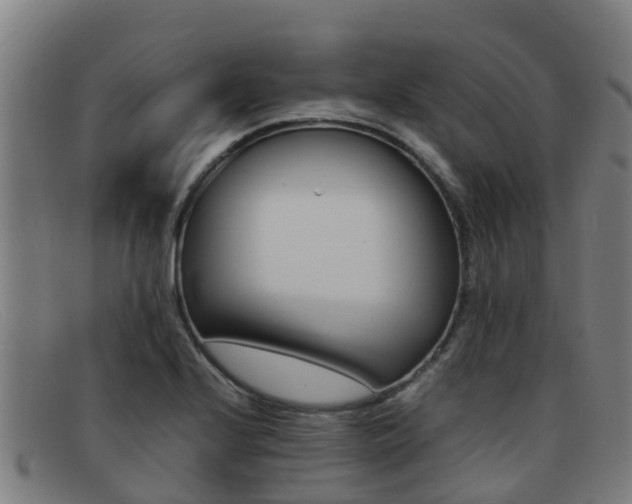 X0000092071224200709121019