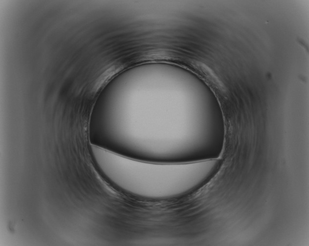 X0000092071225200709121019