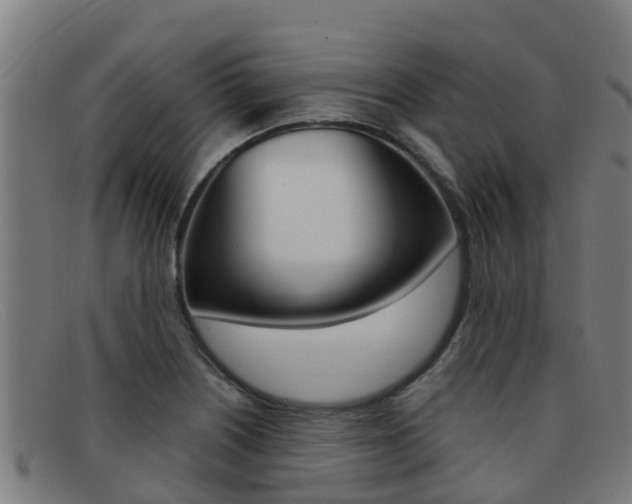 X0000092071226200709121019