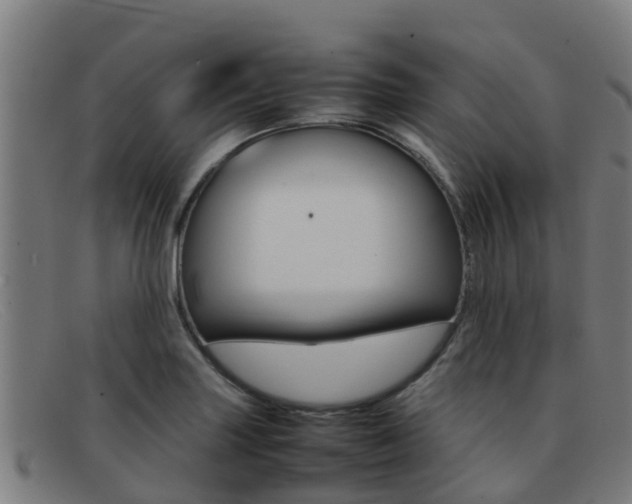 X0000092071227200709121019