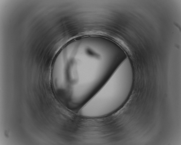X0000092071228200709121019