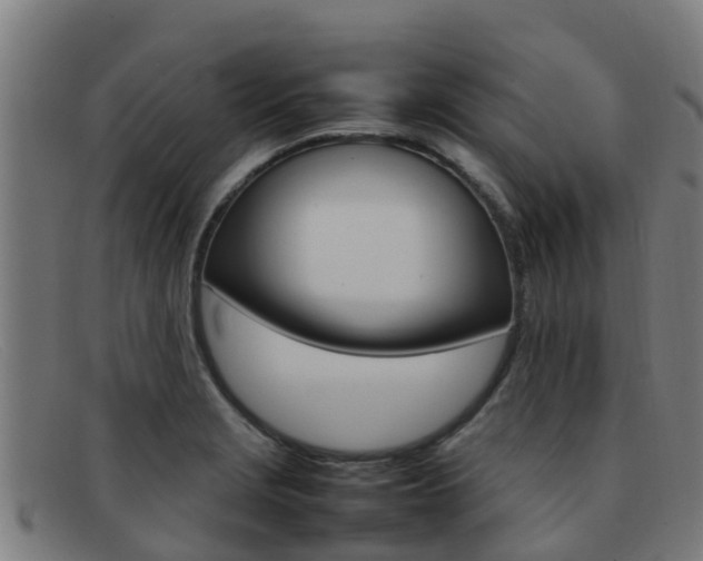 X0000092071229200709121019