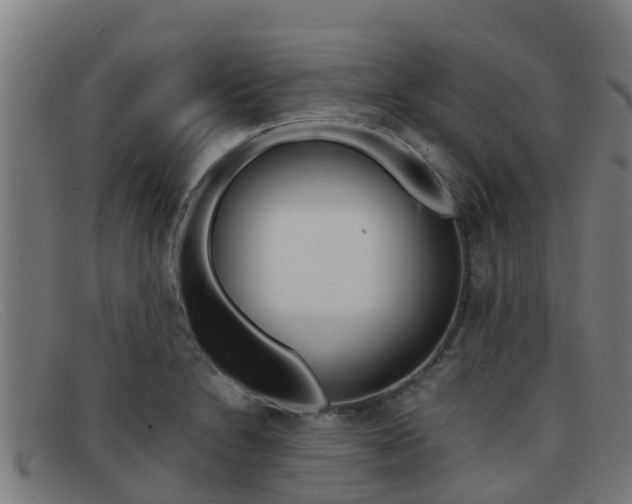 X0000092071230200709121019
