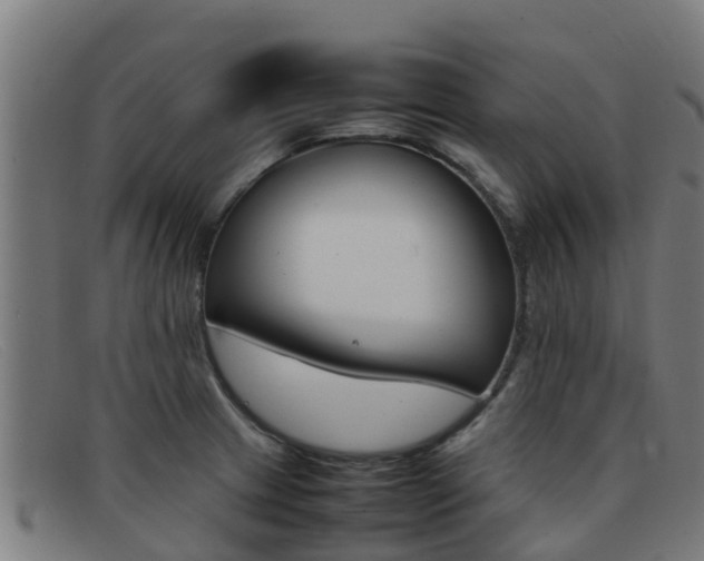 X0000092071233200709121019