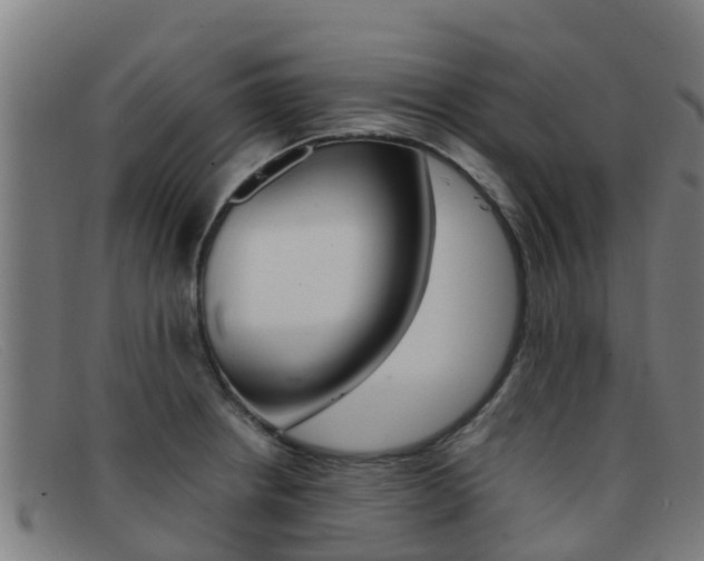 X0000092071234200709121019