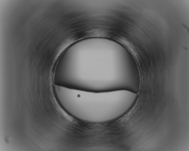 X0000092071235200709121019