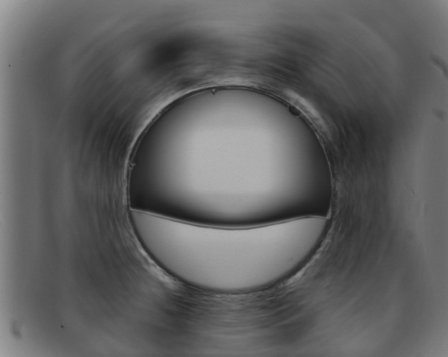 X0000092071236200709121019