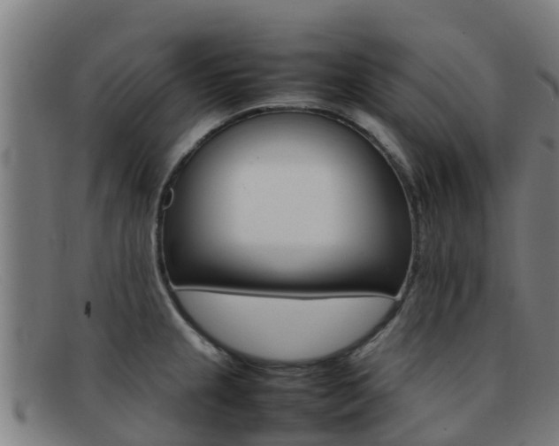 X0000092071237200709121019