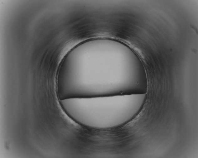X0000092071239200709121019