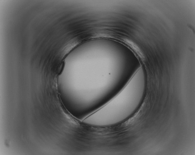 X0000092071241200709121019