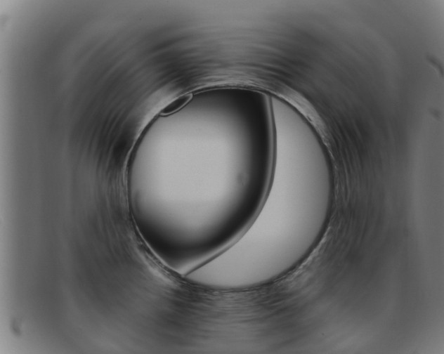 X0000092071242200709121019