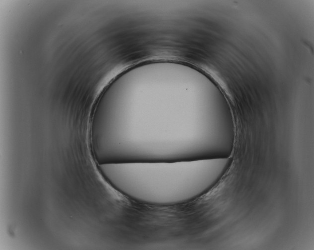 X0000092071245200709121020