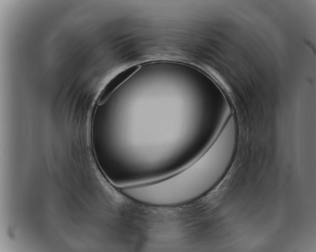X0000092071246200709121020