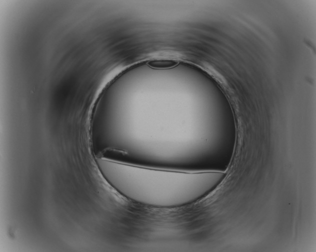 X0000092071248200709121020