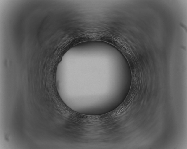 X0000092071249200709121019