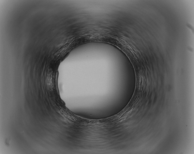 X0000092071250200709121019